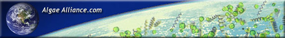 AlgaeAlliance.com