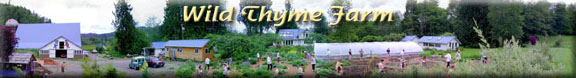 WildThymeFarm.com